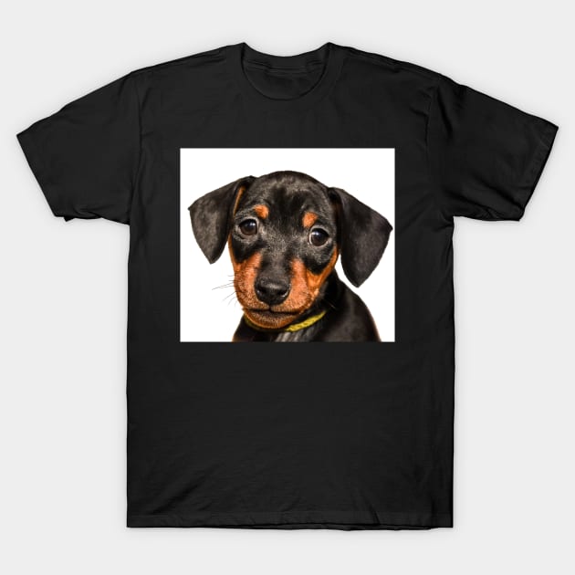 Portrait of black puppy T-Shirt by lena-maximova